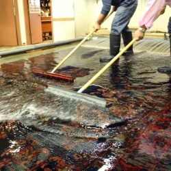 Rug-Washing (3) Rug-Washing (3)